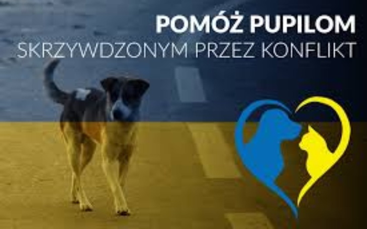 Zbiórka Pomoc humanitarna dla zwierząt - zdjęcie główne