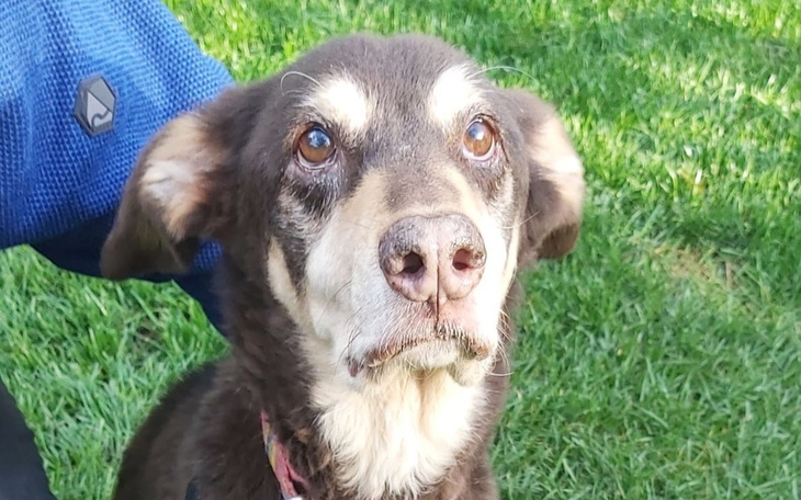 Zbiórka Xsara prosi o bezpieczeństwo - zdjęcie główne