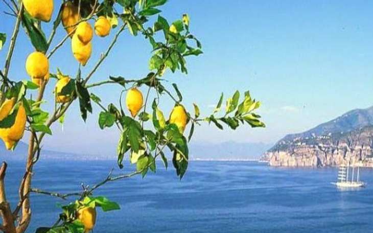 Zbiórka obóz kolonie - zdjęcie główne