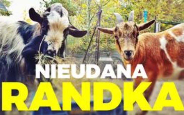 Zbiórka na moje mini zoo - zdjęcie główne
