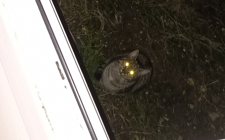 Zbiórka Na budowę Chałupki - zdjęcie główne