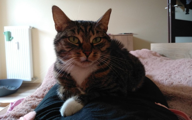 Zbiórka Sto lat dla Małgosi - zdjęcie główne