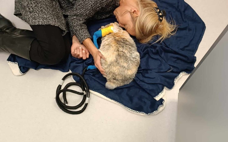 Zbiórka Hospitalizacja Holi - zdjęcie główne