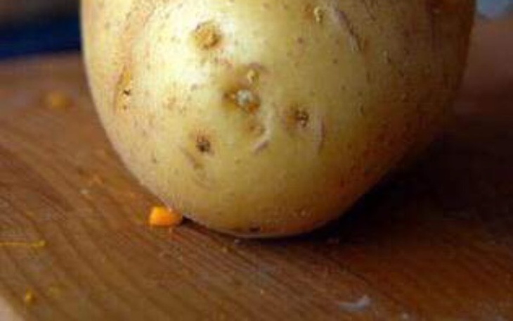 Zbiórka Apoco - zdjęcie główne