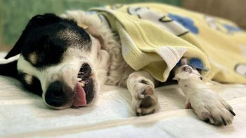 Zbiórka Operacja Neski - miniaturka zdjęcia