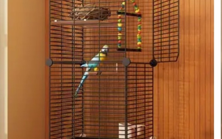 Klatka dla ptaków z kolorowym papużkiem w środku.