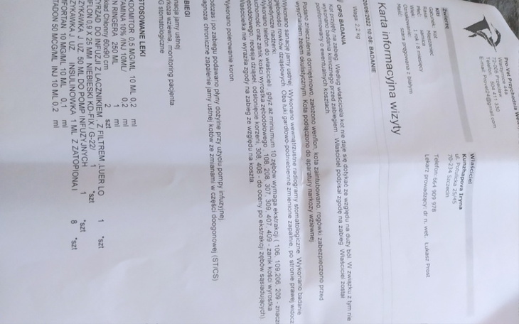 Zbiórka Leczenie kotki. - zdjęcie główne