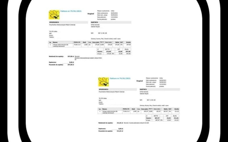 Zbiórka Diagnostyka charcików - zdjęcie główne