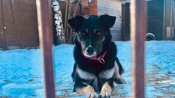 Zbiórka Prąd za grudzień - miniaturka zdjęcia