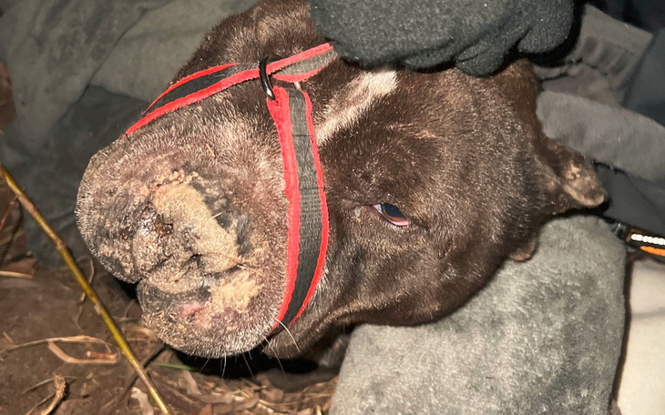 Zbiórka Sunia TTB Zakroczym - zdjęcie główne