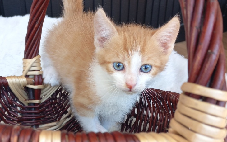 Zbiórka Kończą nam się środki czystości - zdjęcie główne