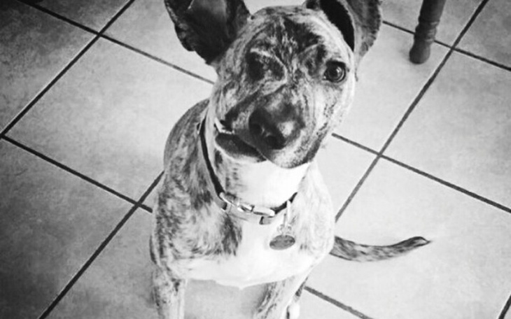 Zbiórka Znowu pomyłka - zdjęcie główne