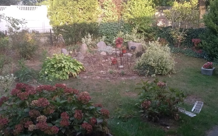 Zbiórka Rozpaczliwie proszę o ciepło - zdjęcie główne