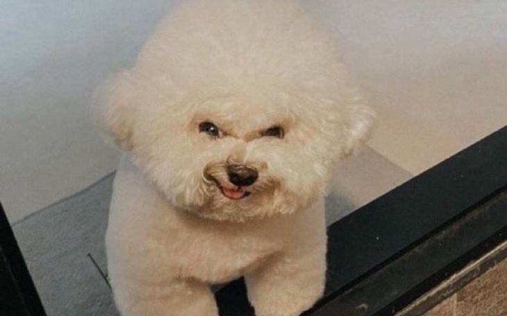 Zbiórka na binder i plaska klate - zdjęcie główne