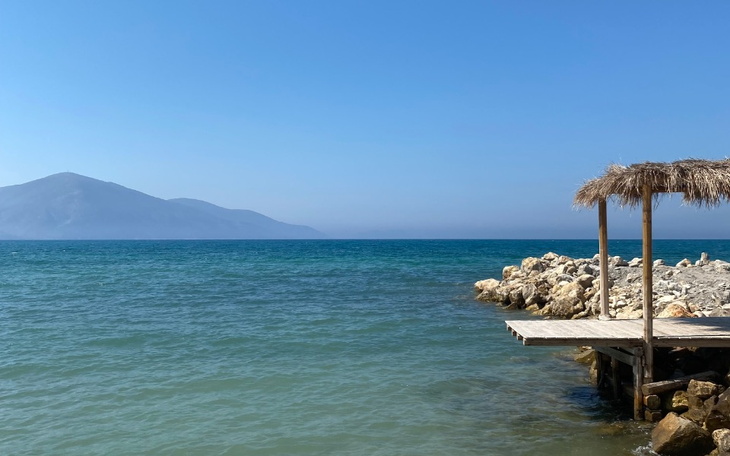 Zbiórka Rozwój mój i mojego psa - zdjęcie główne