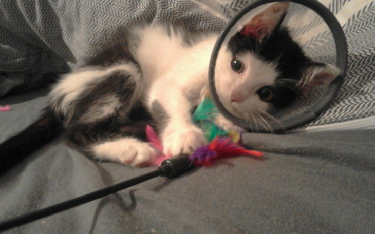 Zbiórka By Jagodzianki mogły dalej trwać - zdjęcie główne