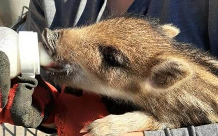 Zbiórka Chcemy pomagać dalej - zdjęcie główne