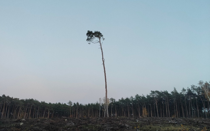 Zbiórka Spłata zadłużenia nie z mojej wi - zdjęcie główne
