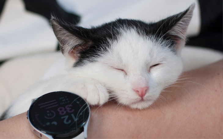 Zbiórka Mruczarnia styczeń 2024 - zdjęcie główne