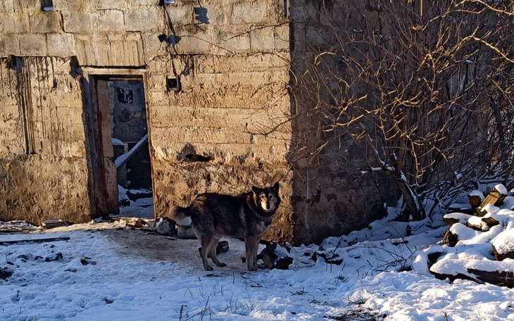 Zbiórka Koniec dożywocia Aresa-ratujmyGo - zdjęcie główne