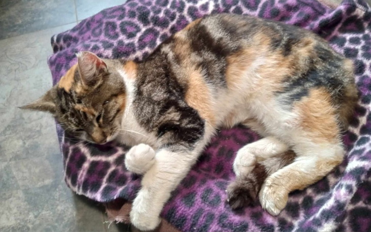 Zbiórka Nigdy się nie dowiemy - zdjęcie główne