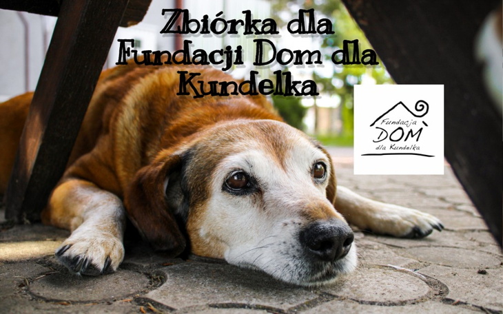 Zbiórka Zbiórka dla Domu dla Kundelka - zdjęcie główne