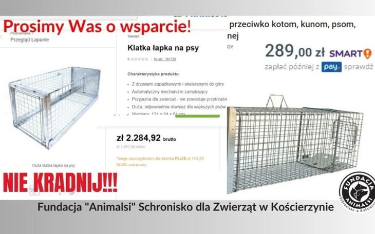 Zbiórka Zakup żywołapek - zdjęcie główne