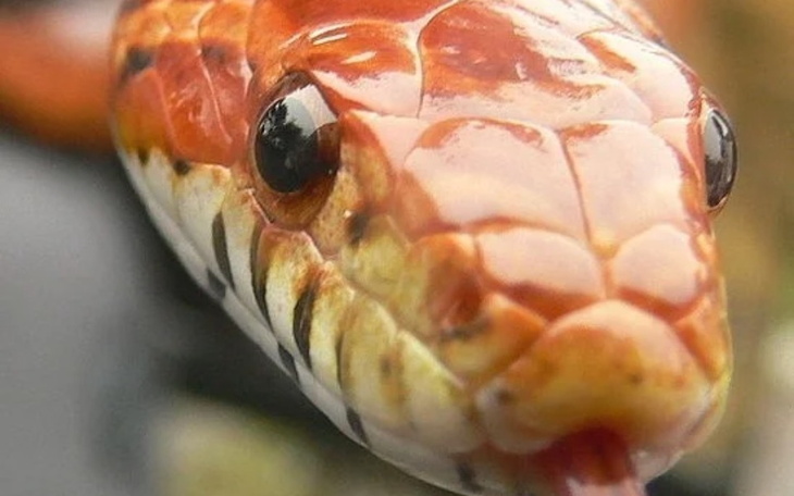 Zbiórka .99999999 - zdjęcie główne