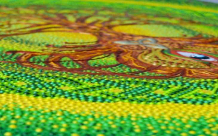 Zbiórka Fundusze na założenie Fundacji - zdjęcie główne