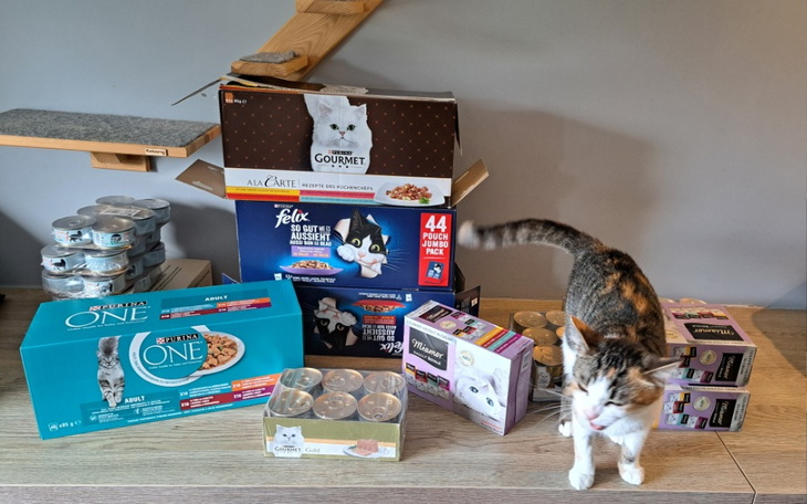 Zbiórka Saszety - zdjęcie główne