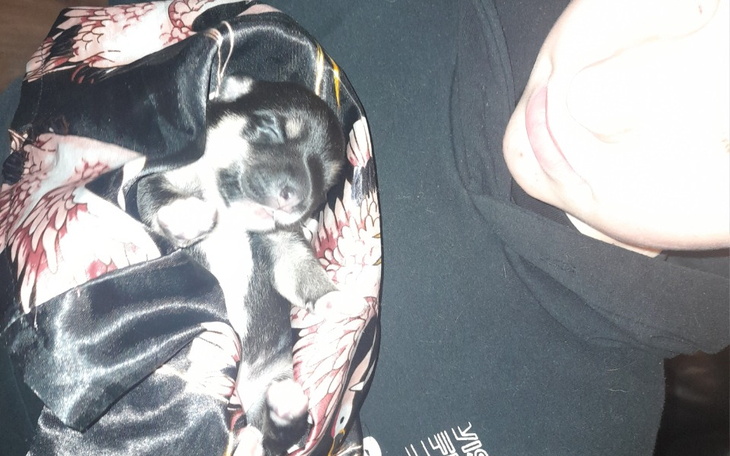 Zbiórka Pomoc dla Dzieci na jedzenie - zdjęcie główne