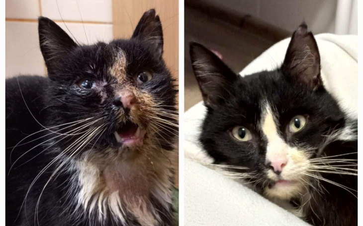 Zbiórka Od zdechlaka do przystojniaka - zdjęcie główne