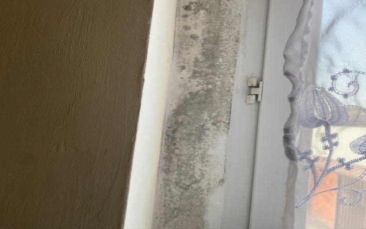 Zbiórka Na remont grzeba i plesni - zdjęcie główne