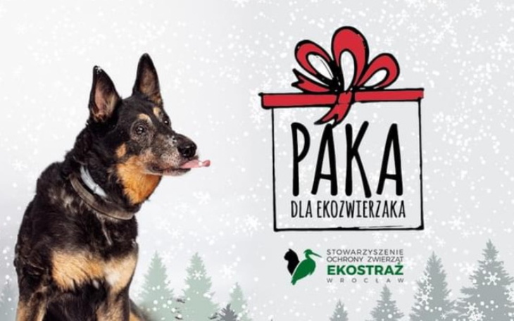 Zbiórka Zbiórka dla Ekostraży - zdjęcie główne