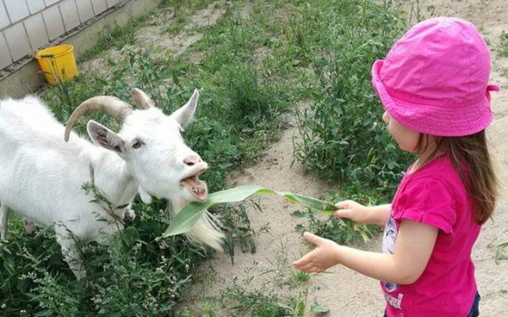 Zbiórka Wyjazd nad morze z córką - zdjęcie główne