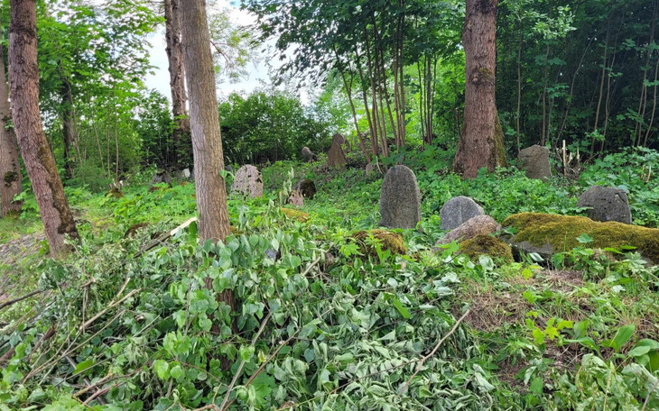 Zbiórka Ratujemy zabytek - zdjęcie główne