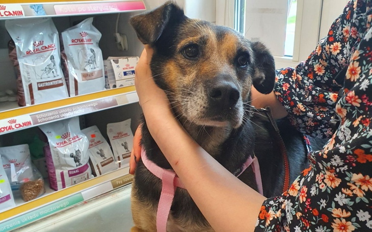 Zbiórka OcaliłaDzieciTerazUratujemyJą - zdjęcie główne