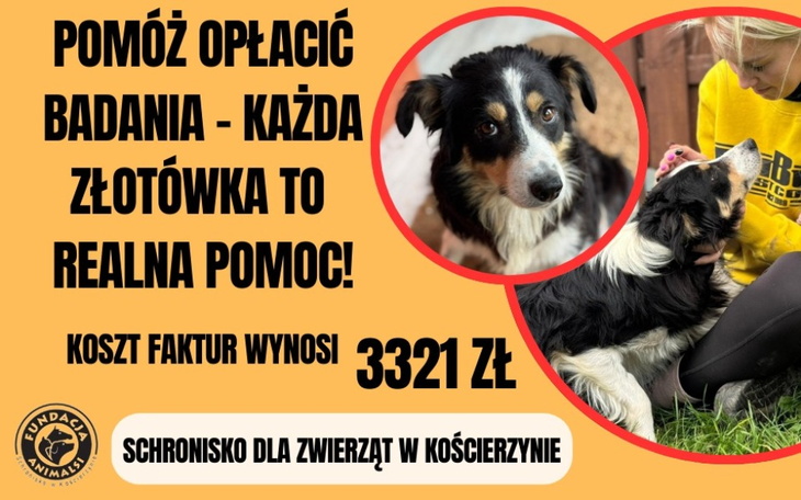 Zbiórka Pomóżmy opłacić faktury - zdjęcie główne