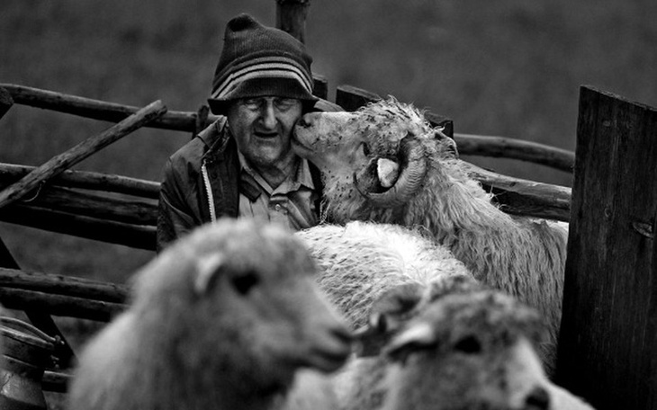 Zbiórka Skaner do negatywów - zdjęcie główne