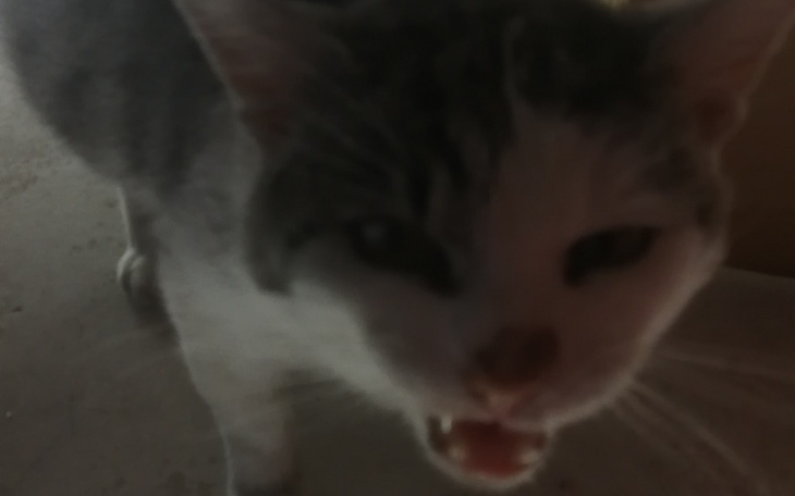 Zbiórka Udało się Dziękuję - zdjęcie główne