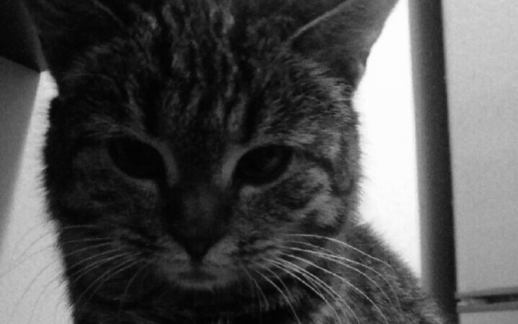 Zbiórka Duszka odeszła dziś za TM 20/01😞 - zdjęcie główne