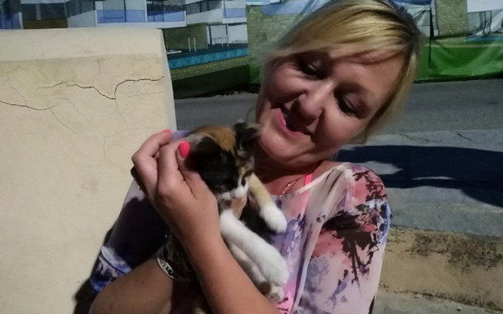 Zbiórka Kociak z Rodos - adopcja. - zdjęcie główne