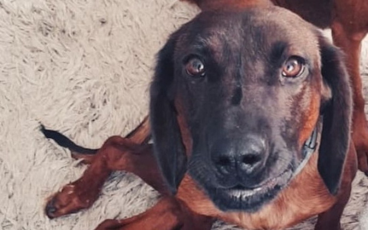 Zbiórka Pomóżmy Bananowi stanąć na nogi! - zdjęcie główne