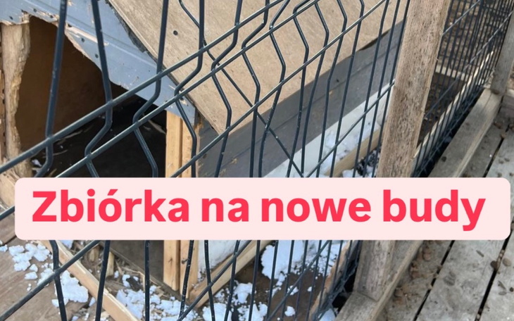 Zbiórka Na nowe budy npp - zdjęcie główne