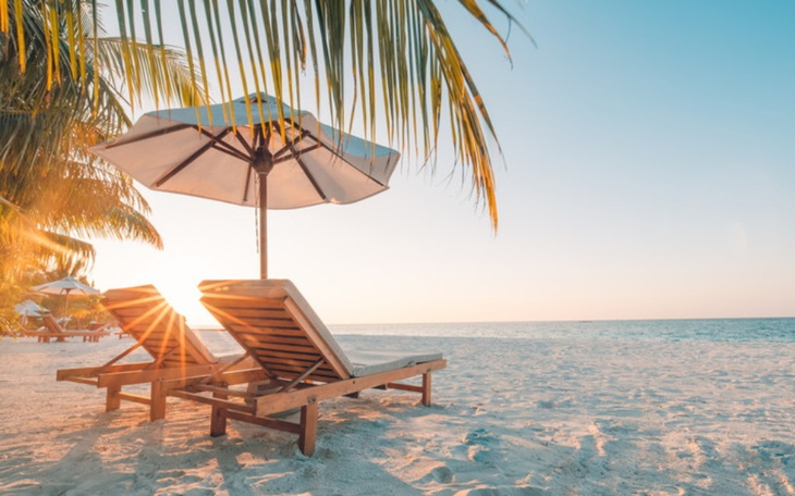 Zbiórka Wakacje 2023 - zdjęcie główne