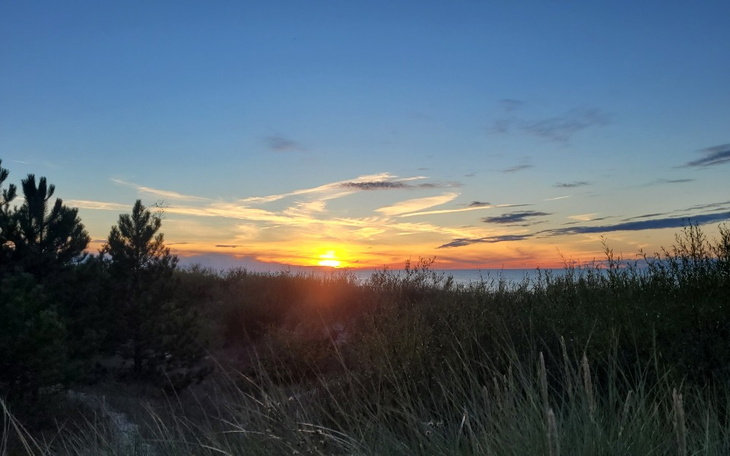 Zbiórka W pogoni za normalonscią - zdjęcie główne