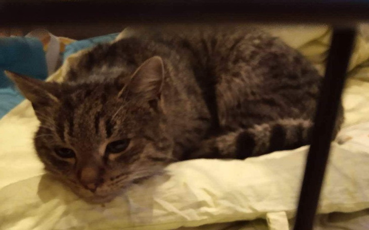 Zbiórka Orlen - zdjęcie główne