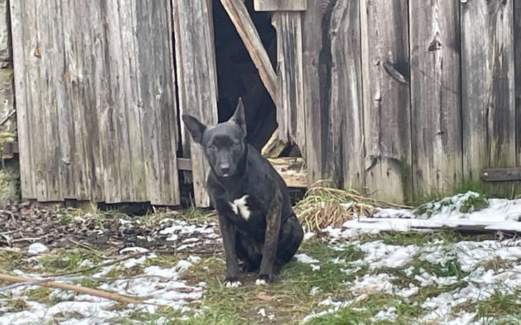 Zbiórka Hestia - zdjęcie główne