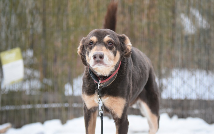 Zbiórka Xsara kolejny miesiąc czekania - zdjęcie główne