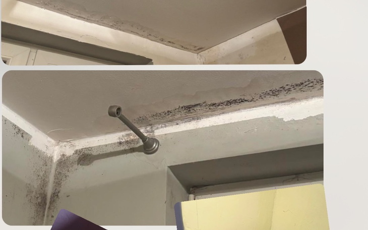 Zbiórka Na remont mieszkania-dachu - zdjęcie główne